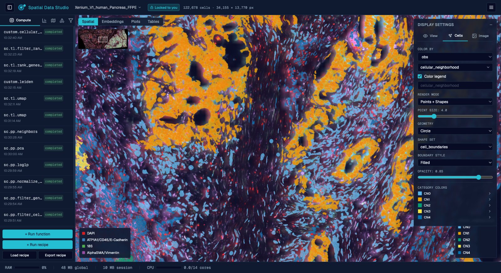A Xenium section zoomed in, each cell drawn as its true segmentation outline and colored by its cellular neighborhood, over the morphology image.