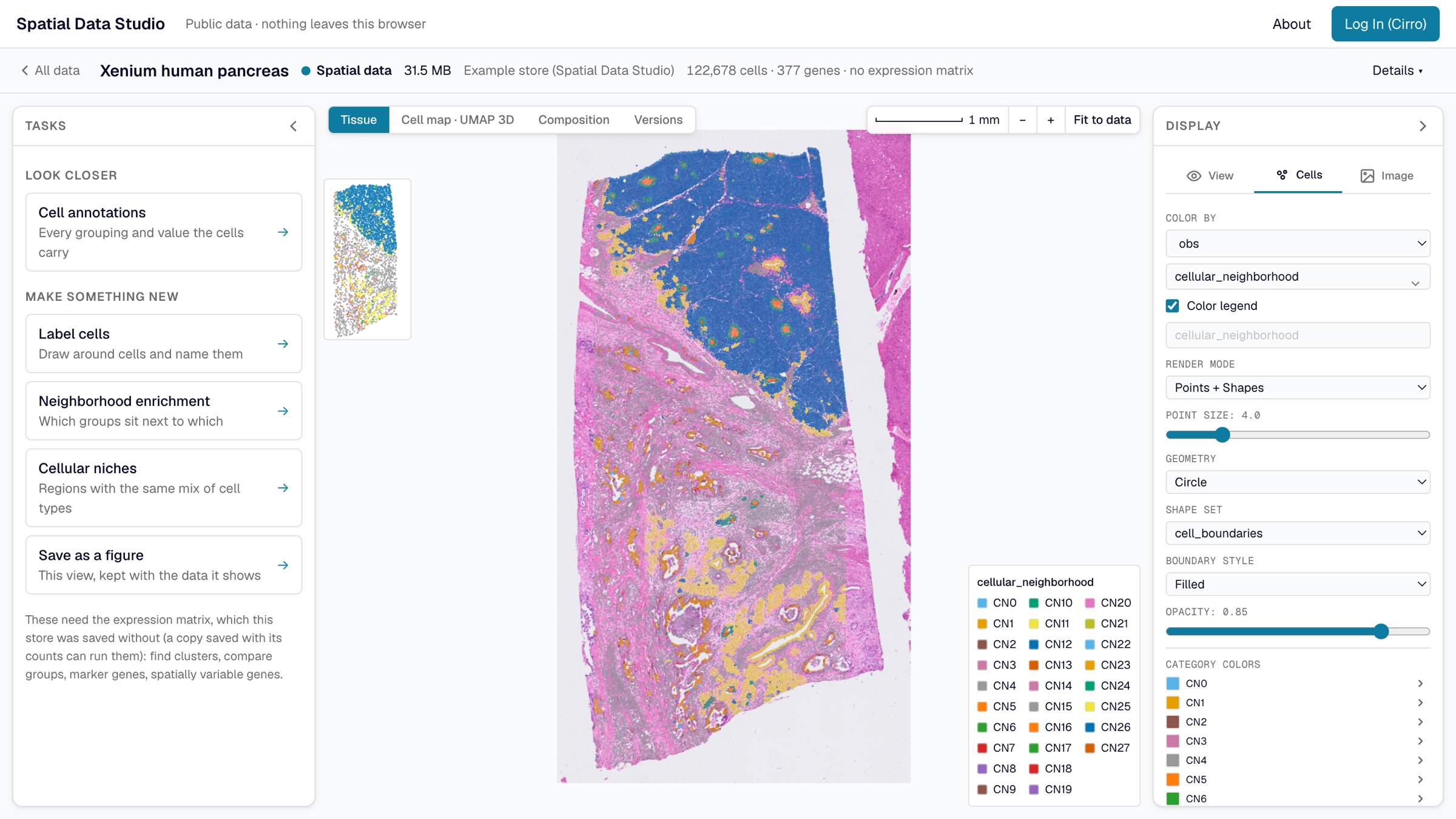 A Xenium pancreas section open in the web app: every cell drawn over the H&E image and colored by its cellular neighborhood, with the analysis tasks in a drawer on the left and the display settings in a drawer on the right.