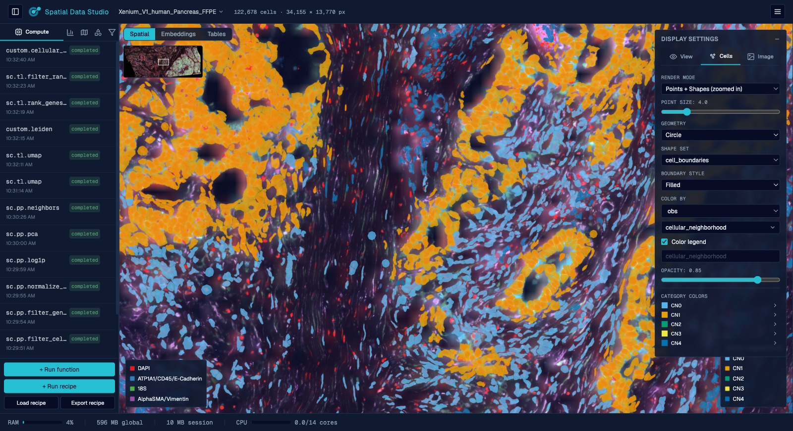 A Xenium section zoomed in, each cell drawn as its true segmentation outline and colored by its cellular neighborhood, over the morphology image.